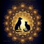 dog & cat mandala coloring book for adults front dog & cat mandala coloring book for adults front